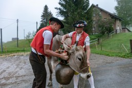 Alp, Alpaufzug, Alpen, Alpfahrt, Alps, Appenzell, Appenzell Ausserrohden, Appenzellerland, Brauchtum, Brauchtum und Anlässe, Frühling, Jahreszeiten, Kühe, Landschaft und Natur, Mai, Natur, Orte, Ostschweiz, Schweiz, Sennen, Spring, Suisse, Switzerland, Tier, Tracht, Urnäsch, tradition