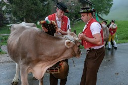 Alp, Alpaufzug, Alpen, Alpfahrt, Alps, Appenzell, Appenzell Ausserrohden, Appenzellerland, Brauchtum, Brauchtum und Anlässe, Frühling, Jahreszeiten, Kühe, Landschaft und Natur, Mai, Natur, Orte, Ostschweiz, Schweiz, Sennen, Spring, Suisse, Switzerland, Tier, Tracht, Urnäsch, tradition