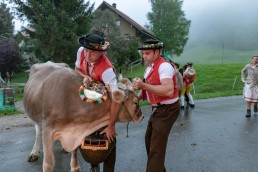 Alp, Alpaufzug, Alpen, Alpfahrt, Alps, Appenzell, Appenzell Ausserrohden, Appenzellerland, Brauchtum, Brauchtum und Anlässe, Frühling, Jahreszeiten, Kühe, Landschaft und Natur, Mai, Natur, Orte, Ostschweiz, Schweiz, Sennen, Spring, Suisse, Switzerland, Tier, Tracht, Urnäsch, tradition