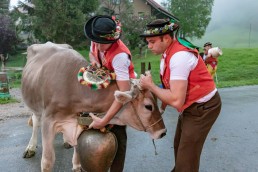 Alp, Alpaufzug, Alpen, Alpfahrt, Alps, Appenzell, Appenzell Ausserrohden, Appenzellerland, Brauchtum, Brauchtum und Anlässe, Frühling, Jahreszeiten, Kühe, Landschaft und Natur, Mai, Natur, Orte, Ostschweiz, Schweiz, Sennen, Spring, Suisse, Switzerland, Tier, Tracht, Urnäsch, tradition