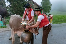 Alp, Alpaufzug, Alpen, Alpfahrt, Alps, Appenzell, Appenzell Ausserrohden, Appenzellerland, Brauchtum, Brauchtum und Anlässe, Frühling, Jahreszeiten, Kühe, Landschaft und Natur, Mai, Natur, Orte, Ostschweiz, Schweiz, Sennen, Spring, Suisse, Switzerland, Tier, Tracht, Urnäsch, tradition