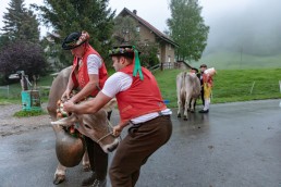 Alp, Alpaufzug, Alpen, Alpfahrt, Alps, Appenzell, Appenzell Ausserrohden, Appenzellerland, Brauchtum, Brauchtum und Anlässe, Frühling, Jahreszeiten, Kühe, Landschaft und Natur, Mai, Natur, Orte, Ostschweiz, Schweiz, Sennen, Spring, Suisse, Switzerland, Tier, Tracht, Urnäsch, tradition
