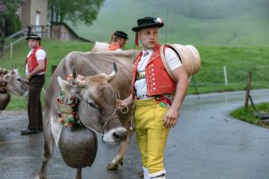 Alp, Alpaufzug, Alpen, Alpfahrt, Alps, Appenzell, Appenzell Ausserrohden, Appenzellerland, Brauchtum, Brauchtum und Anlässe, Frühling, Jahreszeiten, Kühe, Landschaft und Natur, Mai, Natur, Orte, Ostschweiz, Schweiz, Sennen, Spring, Suisse, Switzerland, Tier, Tracht, Urnäsch, tradition