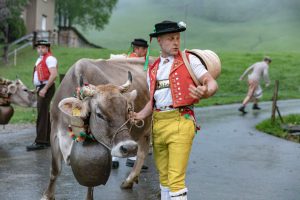 Alp, Alpaufzug, Alpen, Alpfahrt, Alps, Appenzell, Appenzell Ausserrohden, Appenzellerland, Brauchtum, Brauchtum und Anlässe, Frühling, Jahreszeiten, Kühe, Landschaft und Natur, Mai, Natur, Orte, Ostschweiz, Schweiz, Sennen, Spring, Suisse, Switzerland, Tier, Tracht, Urnäsch, tradition