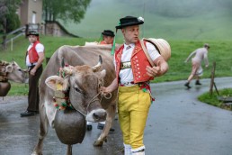 Alp, Alpaufzug, Alpen, Alpfahrt, Alps, Appenzell, Appenzell Ausserrohden, Appenzellerland, Brauchtum, Brauchtum und Anlässe, Frühling, Jahreszeiten, Kühe, Landschaft und Natur, Mai, Natur, Orte, Ostschweiz, Schweiz, Sennen, Spring, Suisse, Switzerland, Tier, Tracht, Urnäsch, tradition