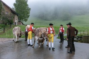 Alp, Alpaufzug, Alpen, Alpfahrt, Alps, Appenzell, Appenzell Ausserrohden, Appenzellerland, Brauchtum, Brauchtum und Anlässe, Frühling, Jahreszeiten, Kühe, Landschaft und Natur, Mai, Natur, Orte, Ostschweiz, Schweiz, Sennen, Spring, Suisse, Switzerland, Tier, Tracht, Urnäsch, tradition