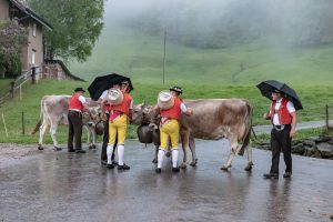 Alp, Alpaufzug, Alpen, Alpfahrt, Alps, Appenzell, Appenzell Ausserrohden, Appenzellerland, Brauchtum, Brauchtum und Anlässe, Frühling, Jahreszeiten, Kühe, Landschaft und Natur, Mai, Natur, Orte, Ostschweiz, Schweiz, Sennen, Spring, Suisse, Switzerland, Tier, Tracht, Urnäsch, tradition