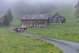 Alp, Alpaufzug, Alpen, Alpfahrt, Alps, Appenzell, Appenzell Ausserrohden, Appenzellerland, Brauchtum, Brauchtum und Anlässe, Frühling, Jahreszeiten, Kühe, Landschaft und Natur, Mai, Natur, Orte, Ostschweiz, Schweiz, Sennen, Spring, Suisse, Switzerland, Tier, Tracht, Urnäsch, tradition