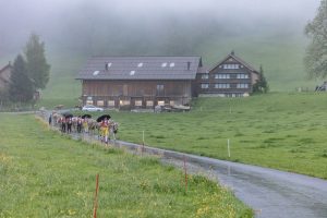 Alp, Alpaufzug, Alpen, Alpfahrt, Alps, Appenzell, Appenzell Ausserrohden, Appenzellerland, Brauchtum, Brauchtum und Anlässe, Frühling, Jahreszeiten, Kühe, Landschaft und Natur, Mai, Natur, Orte, Ostschweiz, Schweiz, Sennen, Spring, Suisse, Switzerland, Tier, Tracht, Urnäsch, tradition
