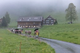 Alp, Alpaufzug, Alpen, Alpfahrt, Alps, Appenzell, Appenzell Ausserrohden, Appenzellerland, Brauchtum, Brauchtum und Anlässe, Frühling, Jahreszeiten, Kühe, Landschaft und Natur, Mai, Natur, Orte, Ostschweiz, Schweiz, Sennen, Spring, Suisse, Switzerland, Tier, Tracht, Urnäsch, tradition