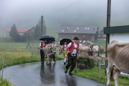 Alp, Alpaufzug, Alpen, Alpfahrt, Alps, Appenzell, Appenzell Ausserrohden, Appenzellerland, Brauchtum, Brauchtum und Anlässe, Frühling, Jahreszeiten, Kühe, Landschaft und Natur, Mai, Natur, Orte, Ostschweiz, Schweiz, Sennen, Spring, Suisse, Switzerland, Tier, Tracht, Urnäsch, tradition