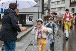 Alp, Alpaufzug, Alpen, Alpfahrt, Alps, Appenzell, Appenzell Ausserrohden, Appenzellerland, Brauchtum, Brauchtum und Anlässe, Frühling, Jahreszeiten, Kühe, Landschaft und Natur, Mai, Natur, Orte, Ostschweiz, Schweiz, Sennen, Spring, Suisse, Switzerland, Tier, Tracht, Urnäsch, tradition