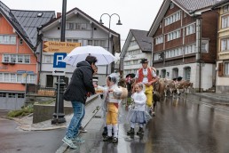 Alp, Alpaufzug, Alpen, Alpfahrt, Alps, Appenzell, Appenzell Ausserrohden, Appenzellerland, Brauchtum, Brauchtum und Anlässe, Frühling, Jahreszeiten, Kühe, Landschaft und Natur, Mai, Natur, Orte, Ostschweiz, Schweiz, Sennen, Spring, Suisse, Switzerland, Tier, Tracht, Urnäsch, tradition