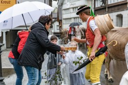 Alp, Alpaufzug, Alpen, Alpfahrt, Alps, Appenzell, Appenzell Ausserrohden, Appenzellerland, Brauchtum, Brauchtum und Anlässe, Frühling, Jahreszeiten, Kühe, Landschaft und Natur, Mai, Natur, Orte, Ostschweiz, Schweiz, Sennen, Spring, Suisse, Switzerland, Tier, Tracht, Urnäsch, tradition