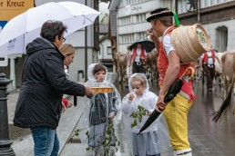 Alp, Alpaufzug, Alpen, Alpfahrt, Alps, Appenzell, Appenzell Ausserrohden, Appenzellerland, Brauchtum, Brauchtum und Anlässe, Frühling, Jahreszeiten, Kühe, Landschaft und Natur, Mai, Natur, Orte, Ostschweiz, Schweiz, Sennen, Spring, Suisse, Switzerland, Tier, Tracht, Urnäsch, tradition