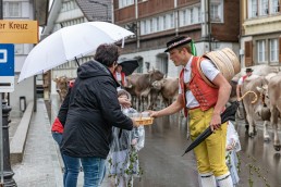 Alp, Alpaufzug, Alpen, Alpfahrt, Alps, Appenzell, Appenzell Ausserrohden, Appenzellerland, Brauchtum, Brauchtum und Anlässe, Frühling, Jahreszeiten, Kühe, Landschaft und Natur, Mai, Natur, Orte, Ostschweiz, Schweiz, Sennen, Spring, Suisse, Switzerland, Tier, Tracht, Urnäsch, tradition