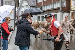 Alp, Alpaufzug, Alpen, Alpfahrt, Alps, Appenzell, Appenzell Ausserrohden, Appenzellerland, Brauchtum, Brauchtum und Anlässe, Frühling, Jahreszeiten, Kühe, Landschaft und Natur, Mai, Natur, Orte, Ostschweiz, Schweiz, Sennen, Spring, Suisse, Switzerland, Tier, Tracht, Urnäsch, tradition