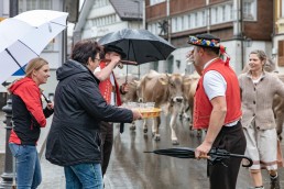 Alp, Alpaufzug, Alpen, Alpfahrt, Alps, Appenzell, Appenzell Ausserrohden, Appenzellerland, Brauchtum, Brauchtum und Anlässe, Frühling, Jahreszeiten, Kühe, Landschaft und Natur, Mai, Natur, Orte, Ostschweiz, Schweiz, Sennen, Spring, Suisse, Switzerland, Tier, Tracht, Urnäsch, tradition