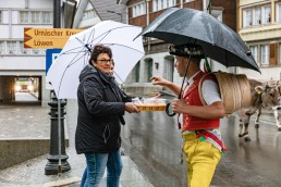 Alp, Alpaufzug, Alpen, Alpfahrt, Alps, Appenzell, Appenzell Ausserrohden, Appenzellerland, Brauchtum, Brauchtum und Anlässe, Frühling, Jahreszeiten, Kühe, Landschaft und Natur, Mai, Natur, Orte, Ostschweiz, Schweiz, Sennen, Spring, Suisse, Switzerland, Tier, Tracht, Urnäsch, tradition