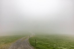 Alp, Alpaufzug, Alpen, Alpfahrt, Alps, Appenzell, Appenzell Ausserrohden, Appenzellerland, Brauchtum, Brauchtum und Anlässe, Frühling, Jahreszeiten, Kühe, Landschaft und Natur, Mai, Natur, Orte, Ostschweiz, Schweiz, Sennen, Spring, Suisse, Switzerland, Tier, Tracht, Urnäsch, tradition