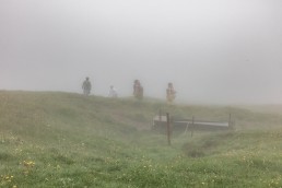 Alp, Alpaufzug, Alpen, Alpfahrt, Alps, Appenzell, Appenzell Ausserrohden, Appenzellerland, Brauchtum, Brauchtum und Anlässe, Frühling, Jahreszeiten, Kühe, Landschaft und Natur, Mai, Natur, Orte, Ostschweiz, Schweiz, Sennen, Spring, Suisse, Switzerland, Tier, Tracht, Urnäsch, tradition