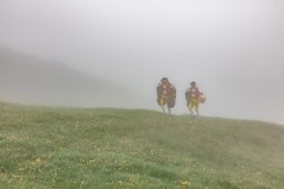 Alp, Alpaufzug, Alpen, Alpfahrt, Alps, Appenzell, Appenzell Ausserrohden, Appenzellerland, Brauchtum, Brauchtum und Anlässe, Frühling, Jahreszeiten, Kühe, Landschaft und Natur, Mai, Natur, Orte, Ostschweiz, Schweiz, Sennen, Spring, Suisse, Switzerland, Tier, Tracht, Urnäsch, tradition