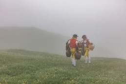 Alp, Alpaufzug, Alpen, Alpfahrt, Alps, Appenzell, Appenzell Ausserrohden, Appenzellerland, Brauchtum, Brauchtum und Anlässe, Frühling, Jahreszeiten, Kühe, Landschaft und Natur, Mai, Natur, Orte, Ostschweiz, Schweiz, Sennen, Spring, Suisse, Switzerland, Tier, Tracht, Urnäsch, tradition