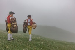 Alp, Alpaufzug, Alpen, Alpfahrt, Alps, Appenzell, Appenzell Ausserrohden, Appenzellerland, Brauchtum, Brauchtum und Anlässe, Frühling, Jahreszeiten, Kühe, Landschaft und Natur, Mai, Natur, Orte, Ostschweiz, Schweiz, Sennen, Spring, Suisse, Switzerland, Tier, Tracht, Urnäsch, tradition