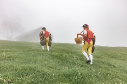 Alp, Alpaufzug, Alpen, Alpfahrt, Alps, Appenzell, Appenzell Ausserrohden, Appenzellerland, Brauchtum, Brauchtum und Anlässe, Frühling, Jahreszeiten, Kühe, Landschaft und Natur, Mai, Natur, Orte, Ostschweiz, Schweiz, Sennen, Spring, Suisse, Switzerland, Tier, Tracht, Urnäsch, tradition