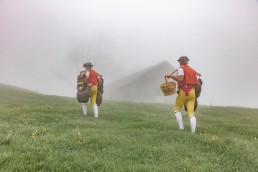 Alp, Alpaufzug, Alpen, Alpfahrt, Alps, Appenzell, Appenzell Ausserrohden, Appenzellerland, Brauchtum, Brauchtum und Anlässe, Frühling, Jahreszeiten, Kühe, Landschaft und Natur, Mai, Natur, Orte, Ostschweiz, Schweiz, Sennen, Spring, Suisse, Switzerland, Tier, Tracht, Urnäsch, tradition