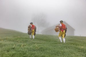 Alp, Alpaufzug, Alpen, Alpfahrt, Alps, Appenzell, Appenzell Ausserrohden, Appenzellerland, Brauchtum, Brauchtum und Anlässe, Frühling, Jahreszeiten, Kühe, Landschaft und Natur, Mai, Natur, Orte, Ostschweiz, Schweiz, Sennen, Spring, Suisse, Switzerland, Tier, Tracht, Urnäsch, tradition