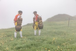 Alp, Alpaufzug, Alpen, Alpfahrt, Alps, Appenzell, Appenzell Ausserrohden, Appenzellerland, Brauchtum, Brauchtum und Anlässe, Frühling, Jahreszeiten, Kühe, Landschaft und Natur, Mai, Natur, Orte, Ostschweiz, Schweiz, Sennen, Spring, Suisse, Switzerland, Tier, Tracht, Urnäsch, tradition
