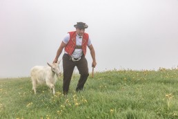 Alp, Alpaufzug, Alpen, Alpfahrt, Alps, Appenzell, Appenzell Ausserrohden, Appenzellerland, Brauchtum, Brauchtum und Anlässe, Frühling, Jahreszeiten, Kühe, Landschaft und Natur, Mai, Natur, Orte, Ostschweiz, Schweiz, Sennen, Spring, Suisse, Switzerland, Tier, Tracht, Urnäsch, tradition