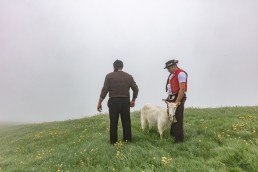 Alp, Alpaufzug, Alpen, Alpfahrt, Alps, Appenzell, Appenzell Ausserrohden, Appenzellerland, Brauchtum, Brauchtum und Anlässe, Frühling, Jahreszeiten, Kühe, Landschaft und Natur, Mai, Natur, Orte, Ostschweiz, Schweiz, Sennen, Spring, Suisse, Switzerland, Tier, Tracht, Urnäsch, tradition