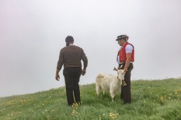 Alp, Alpaufzug, Alpen, Alpfahrt, Alps, Appenzell, Appenzell Ausserrohden, Appenzellerland, Brauchtum, Brauchtum und Anlässe, Frühling, Jahreszeiten, Kühe, Landschaft und Natur, Mai, Natur, Orte, Ostschweiz, Schweiz, Sennen, Spring, Suisse, Switzerland, Tier, Tracht, Urnäsch, tradition