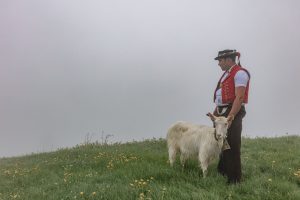 Alp, Alpaufzug, Alpen, Alpfahrt, Alps, Appenzell, Appenzell Ausserrohden, Appenzellerland, Brauchtum, Brauchtum und Anlässe, Frühling, Jahreszeiten, Kühe, Landschaft und Natur, Mai, Natur, Orte, Ostschweiz, Schweiz, Sennen, Spring, Suisse, Switzerland, Tier, Tracht, Urnäsch, tradition