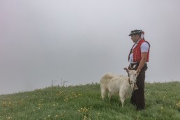 Alp, Alpaufzug, Alpen, Alpfahrt, Alps, Appenzell, Appenzell Ausserrohden, Appenzellerland, Brauchtum, Brauchtum und Anlässe, Frühling, Jahreszeiten, Kühe, Landschaft und Natur, Mai, Natur, Orte, Ostschweiz, Schweiz, Sennen, Spring, Suisse, Switzerland, Tier, Tracht, Urnäsch, tradition