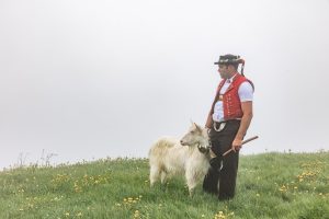 Alp, Alpaufzug, Alpen, Alpfahrt, Alps, Appenzell, Appenzell Ausserrohden, Appenzellerland, Brauchtum, Brauchtum und Anlässe, Frühling, Jahreszeiten, Kühe, Landschaft und Natur, Mai, Natur, Orte, Ostschweiz, Schweiz, Sennen, Spring, Suisse, Switzerland, Tier, Tracht, Urnäsch, tradition