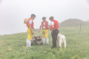 Alp, Alpaufzug, Alpen, Alpfahrt, Alps, Appenzell, Appenzell Ausserrohden, Appenzellerland, Brauchtum, Brauchtum und Anlässe, Frühling, Jahreszeiten, Kühe, Landschaft und Natur, Mai, Natur, Orte, Ostschweiz, Schweiz, Sennen, Spring, Suisse, Switzerland, Tier, Tracht, Urnäsch, tradition