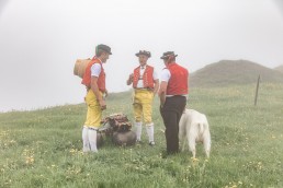 Alp, Alpaufzug, Alpen, Alpfahrt, Alps, Appenzell, Appenzell Ausserrohden, Appenzellerland, Brauchtum, Brauchtum und Anlässe, Frühling, Jahreszeiten, Kühe, Landschaft und Natur, Mai, Natur, Orte, Ostschweiz, Schweiz, Sennen, Spring, Suisse, Switzerland, Tier, Tracht, Urnäsch, tradition