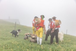 Alp, Alpaufzug, Alpen, Alpfahrt, Alps, Appenzell, Appenzell Ausserrohden, Appenzellerland, Brauchtum, Brauchtum und Anlässe, Frühling, Jahreszeiten, Kühe, Landschaft und Natur, Mai, Natur, Orte, Ostschweiz, Schweiz, Sennen, Spring, Suisse, Switzerland, Tier, Tracht, Urnäsch, tradition