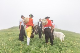Alp, Alpaufzug, Alpen, Alpfahrt, Alps, Appenzell, Appenzell Ausserrohden, Appenzellerland, Brauchtum, Brauchtum und Anlässe, Frühling, Jahreszeiten, Kühe, Landschaft und Natur, Mai, Natur, Orte, Ostschweiz, Schweiz, Sennen, Spring, Suisse, Switzerland, Tier, Tracht, Urnäsch, tradition