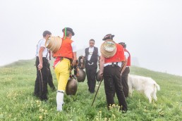 Alp, Alpaufzug, Alpen, Alpfahrt, Alps, Appenzell, Appenzell Ausserrohden, Appenzellerland, Brauchtum, Brauchtum und Anlässe, Frühling, Jahreszeiten, Kühe, Landschaft und Natur, Mai, Natur, Orte, Ostschweiz, Schweiz, Sennen, Spring, Suisse, Switzerland, Tier, Tracht, Urnäsch, tradition