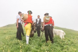 Alp, Alpaufzug, Alpen, Alpfahrt, Alps, Appenzell, Appenzell Ausserrohden, Appenzellerland, Brauchtum, Brauchtum und Anlässe, Frühling, Jahreszeiten, Kühe, Landschaft und Natur, Mai, Natur, Orte, Ostschweiz, Schweiz, Sennen, Spring, Suisse, Switzerland, Tier, Tracht, Urnäsch, tradition