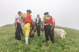 Alp, Alpaufzug, Alpen, Alpfahrt, Alps, Appenzell, Appenzell Ausserrohden, Appenzellerland, Brauchtum, Brauchtum und Anlässe, Frühling, Jahreszeiten, Kühe, Landschaft und Natur, Mai, Natur, Orte, Ostschweiz, Schweiz, Sennen, Spring, Suisse, Switzerland, Tier, Tracht, Urnäsch, tradition