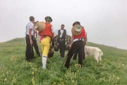 Alp, Alpaufzug, Alpen, Alpfahrt, Alps, Appenzell, Appenzell Ausserrohden, Appenzellerland, Brauchtum, Brauchtum und Anlässe, Frühling, Jahreszeiten, Kühe, Landschaft und Natur, Mai, Natur, Orte, Ostschweiz, Schweiz, Sennen, Spring, Suisse, Switzerland, Tier, Tracht, Urnäsch, tradition