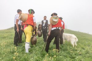 Alp, Alpaufzug, Alpen, Alpfahrt, Alps, Appenzell, Appenzell Ausserrohden, Appenzellerland, Brauchtum, Brauchtum und Anlässe, Frühling, Jahreszeiten, Kühe, Landschaft und Natur, Mai, Natur, Orte, Ostschweiz, Schweiz, Sennen, Spring, Suisse, Switzerland, Tier, Tracht, Urnäsch, tradition