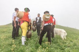 Alp, Alpaufzug, Alpen, Alpfahrt, Alps, Appenzell, Appenzell Ausserrohden, Appenzellerland, Brauchtum, Brauchtum und Anlässe, Frühling, Jahreszeiten, Kühe, Landschaft und Natur, Mai, Natur, Orte, Ostschweiz, Schweiz, Sennen, Spring, Suisse, Switzerland, Tier, Tracht, Urnäsch, tradition