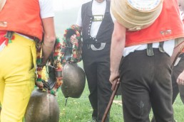 Alp, Alpaufzug, Alpen, Alpfahrt, Alps, Appenzell, Appenzell Ausserrohden, Appenzellerland, Brauchtum, Brauchtum und Anlässe, Frühling, Jahreszeiten, Kühe, Landschaft und Natur, Mai, Natur, Orte, Ostschweiz, Schweiz, Sennen, Spring, Suisse, Switzerland, Tier, Tracht, Urnäsch, tradition