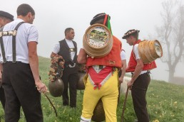 Alp, Alpaufzug, Alpen, Alpfahrt, Alps, Appenzell, Appenzell Ausserrohden, Appenzellerland, Brauchtum, Brauchtum und Anlässe, Frühling, Jahreszeiten, Kühe, Landschaft und Natur, Mai, Natur, Orte, Ostschweiz, Schweiz, Sennen, Spring, Suisse, Switzerland, Tier, Tracht, Urnäsch, tradition